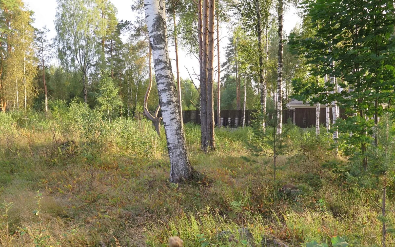Изумрудные горки — природа и окружение, 3