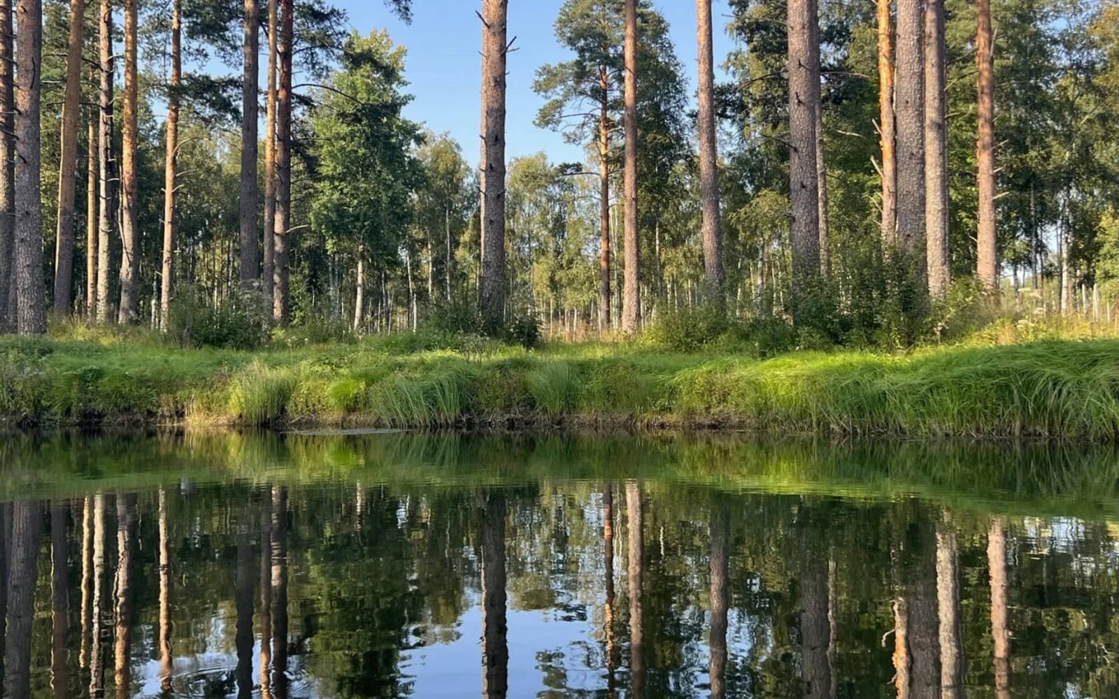 Репинские озера — природа и окружение, 4