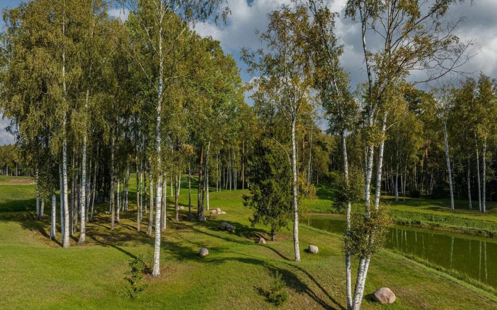 Репинские озера — природа и окружение, 2