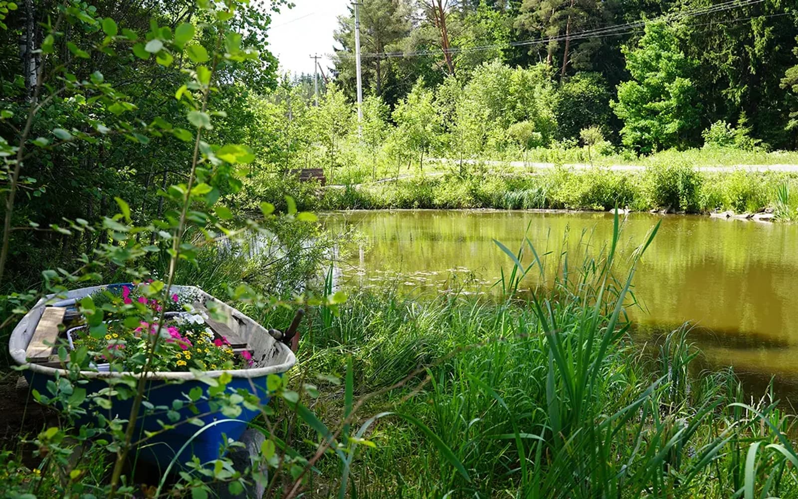 Усадьба в Вартемягах — природа и окружение, 9
